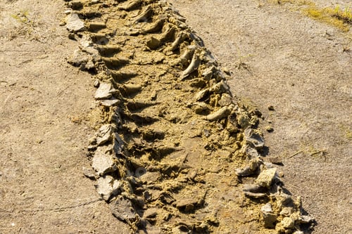 Preview: deep traces of tractor tires in the sand.