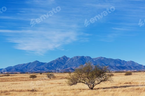 Preview: American prairie
