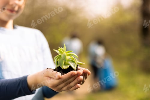 Preview: Small activist holding a green seedling sprout in her hands
