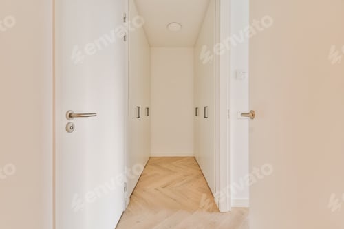 Preview: Delightful design of the corridor of the apartment