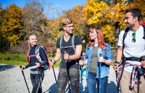 Preview: Authentic group of friends on tourist trip walking with backpacks and trekking sticks