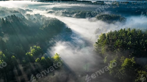 Preview: Misty forest in valley at sunrise in autumn.