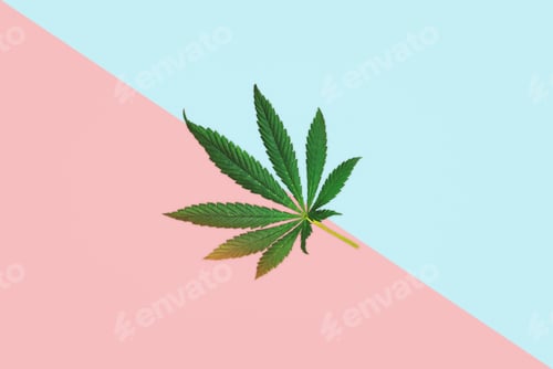 Preview: Cannabis leaf on pink and blue pastel background