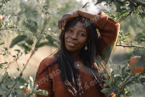 Preview: DSC03954