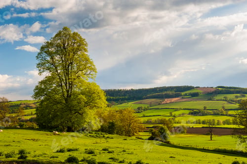 Preview: Winchcombe and the Sudely Valley, The Cotswolds, Gloucestershire, England, United Kingdom, Europe