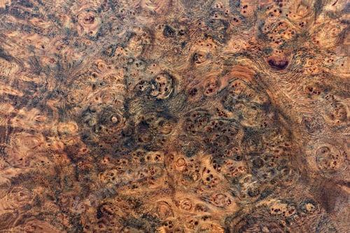 Preview: Nature burl wood