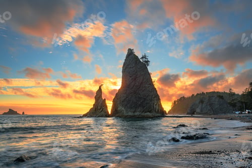 Preview: Olympic National Park, Washington, USA at Rialto Beach.