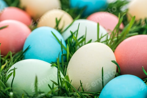 Preview: close up of traditional colorful easter eggs on green grass