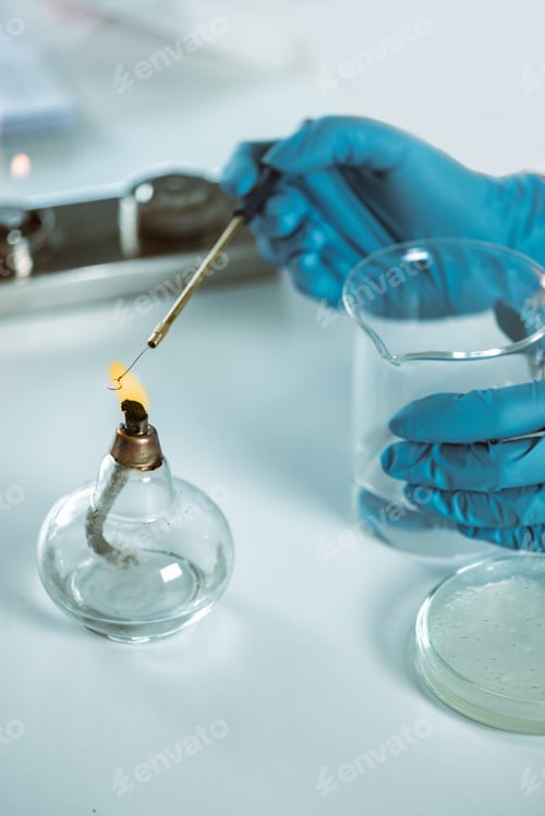 Preview: Microbiology laboratory work