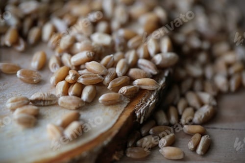 Preview: Wheat Grain Pile Lying On The Table