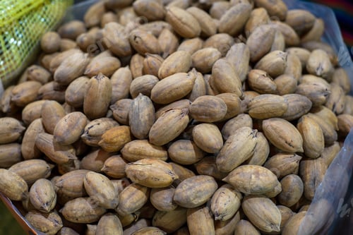 Preview: Group of nuts in shell. Close-up.