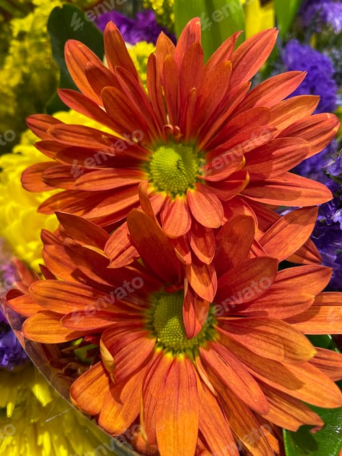 Preview: Flowers