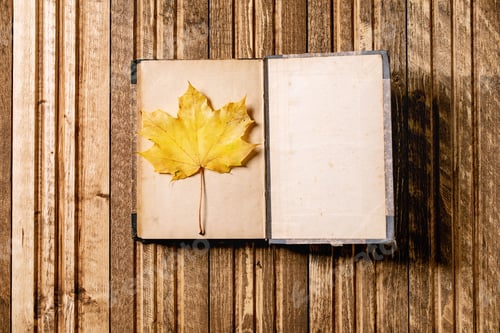 Preview: Book and autumn leaves