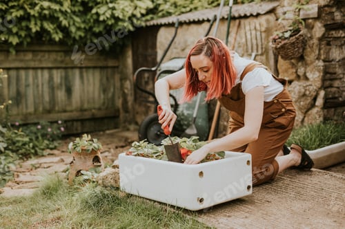 Preview: Woman planting in small home garden