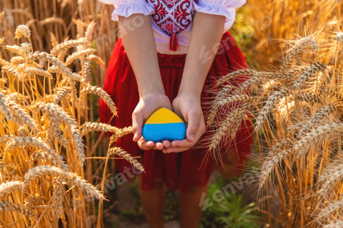 Preview: Child in a field of wheat with the flag of Ukraine. Selective focus.