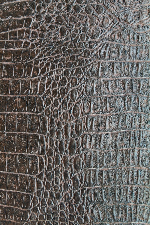 Dark Brown Crocodile Leather Texture Background