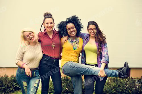 Preview: Group of Friends Happiness Enjoyment Concept