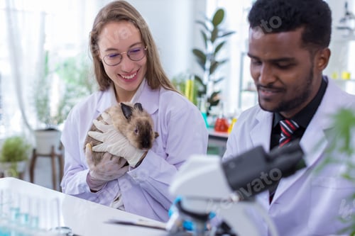 Preview: Scientist or pharmacist do research chemical ingredients test on animal in laboratory.