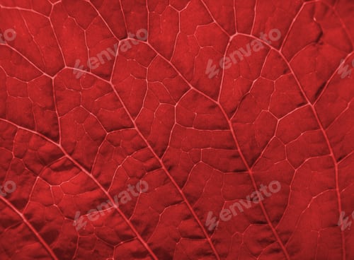 Preview: red leaf texture