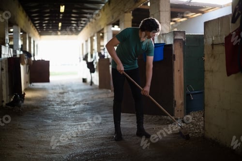 Preview: Man using broom to clean the stable