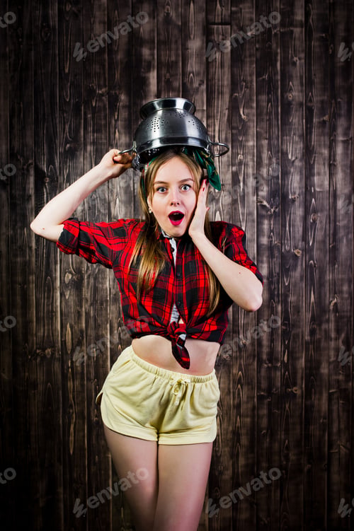 Preview: Young funny housewife pin up style