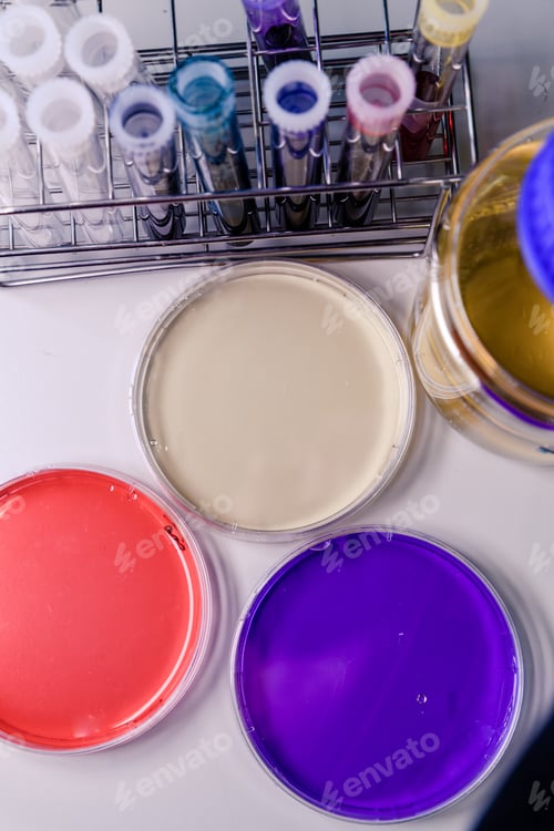 Preview: Vertical high angle closeup shot of petri dishes and laboratory tubes used for coronavirus research