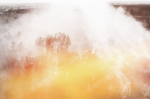 Preview: Wild Open Fire Destroys Grass. Natural Disaster. Aerial View. Dry Grass Burns During Drought And Hot