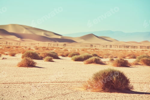 Preview: Sand desert