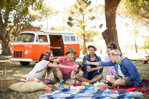 Preview: Smiling friends toasting beer during picnic