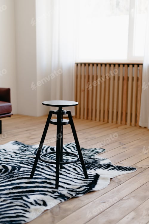 Preview: Interior minimalistic, chair, zebra carpet