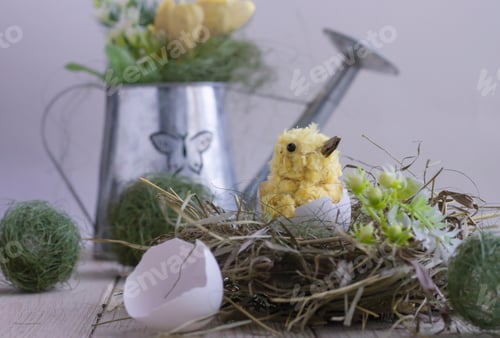 Preview: Easter composition with diy chicken made of yarn pom-poms.the beak is made of cardboard.