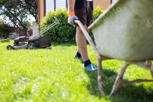 Preview: Man with a wheelbarrow of freshly cut grass. Person mows the lawn in the backyard