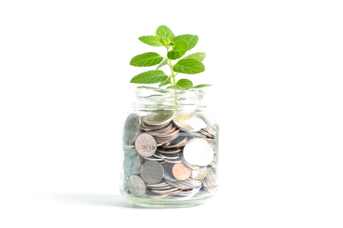 Preview: Stack of coin save money grow up with tree in glass jar bottle.