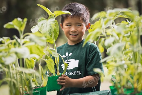 Preview: A boy with young plants in a plant nursery.
