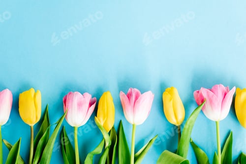 Preview: top view of blossoming yellow and pink tulips on blue, mothers day concept