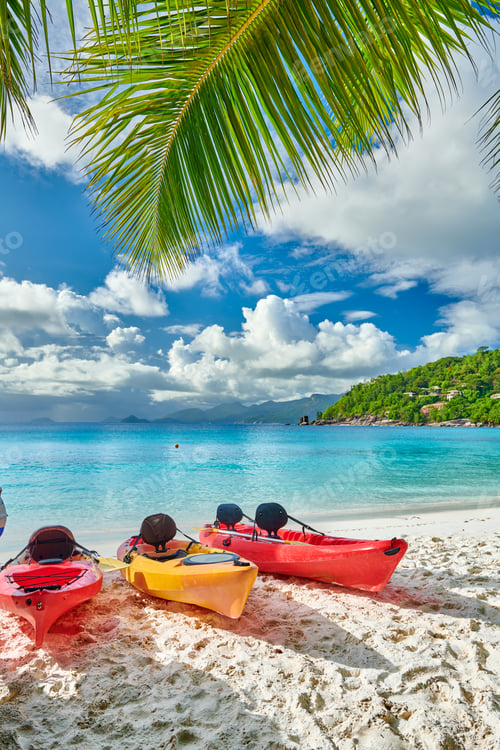 Preview: Beach with kayaks and palm tree at Seychelles