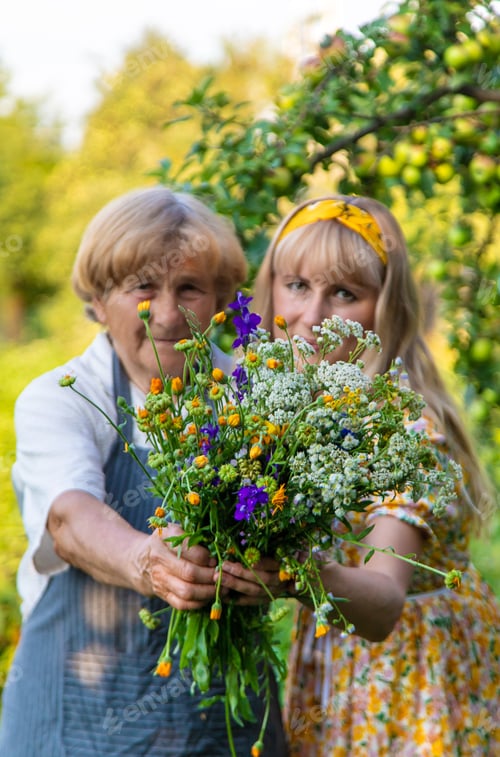 Preview: Woman with medicinal herbs in a meadow. Selective focus.