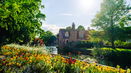 Preview: Sun shining on colorful flowers along the river stour in canterbury, england