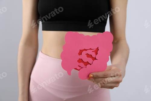 Preview: Concept of health care and internal organs - intestines