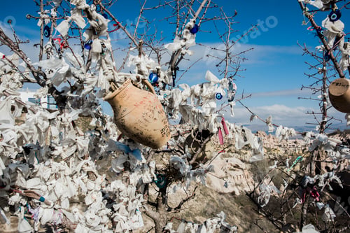 Preview: Evil eye tree, Pigeon Valley, Göreme, Cappadocia, Turkey
