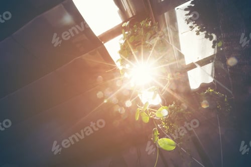 Preview: abstract nature sunset, vintage filter image