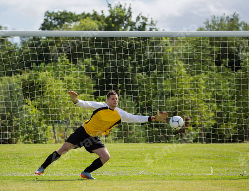 Preview: Goalkeeper diving to save the goal