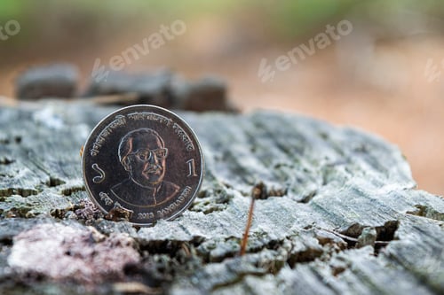 Preview: Bangladesh taka coin on a wooden log
