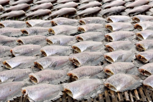 Preview: Sun dried salid fish before cooking sell in the market in thaila