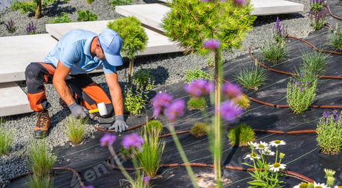 Preview: Gardener Planting Flowers and Shrubs in a Landscaped Garden During Daytime in a Tranquil Setting