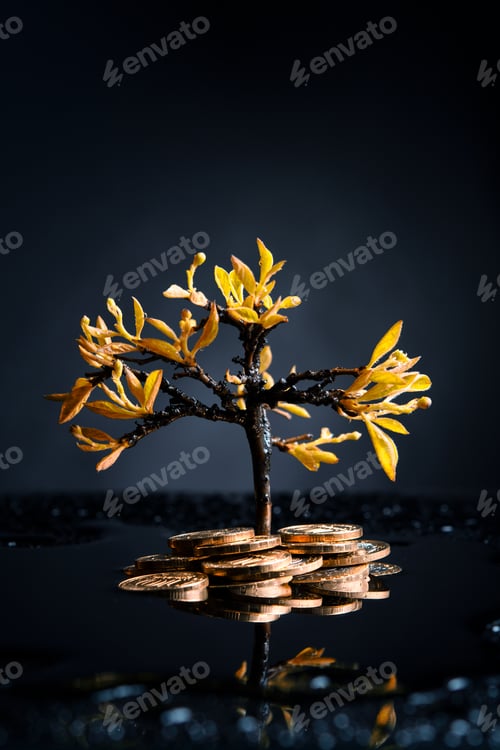 Preview: money tree with coins after the rain on a dark background