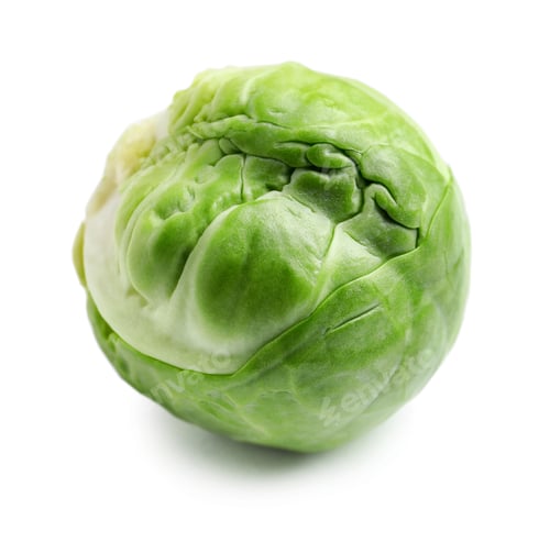 Preview: Fresh tasty Brussels sprout on white background