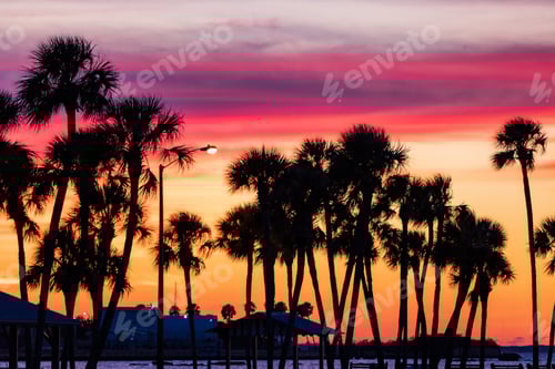 Preview: Beautiful view of palms during a colorful sunset in a beach