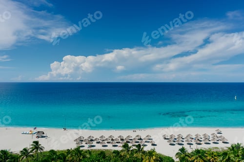 Preview: The most beautiful species in the Atlantic Ocean and beach in the resort of Varadero, Cuba