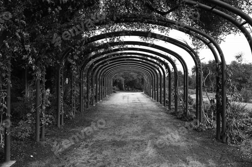 Preview: Greyscale shot of a beautiful path under the arch-shaped columns covered with plants